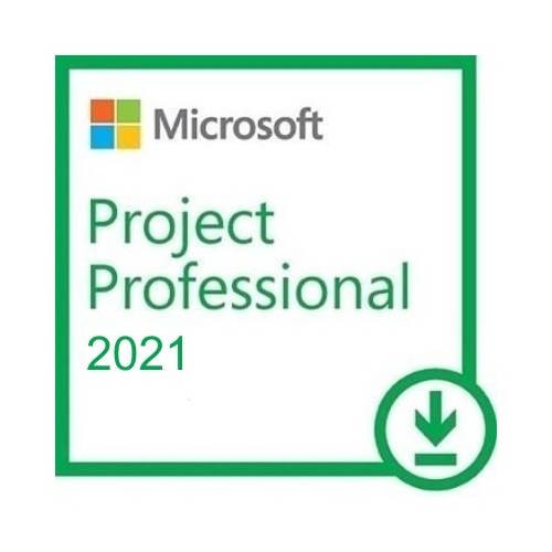 купить Microsoft Project 2021 Professional